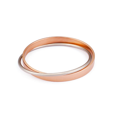 Fashion Simple Plated Rose Gold Two-tone Geometric Double Round 316L Stainless Steel Bangle