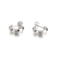 Load image into Gallery viewer, Fashion Simple Geometric Circle Love 316L Stainless Steel Earrings with Cubic Zirconia
