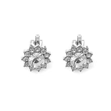 Load image into Gallery viewer, Enchanting Non Piercing Earrings with Silver Austrian Element Crystal and CZ