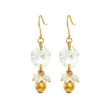 Load image into Gallery viewer, Exquisite Octagon Earrings with Silver Austrian Element Crystal