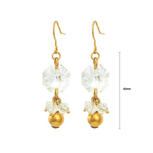 Load image into Gallery viewer, Exquisite Octagon Earrings with Silver Austrian Element Crystal
