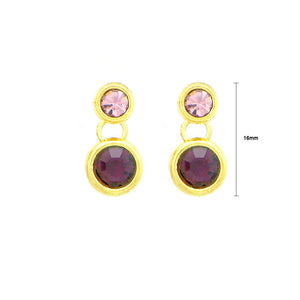 Charming Earrings with Purple Austrian Element Crystals