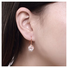 Load image into Gallery viewer, 925 Sterling Silver Plated Rose Gold Earrings with White Austrian Element Crystal