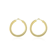 Load image into Gallery viewer, Fashion Plated Gold Round Earrings - Glamorousky