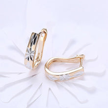 Load image into Gallery viewer, Fashion Simple Plated Champagne Gold Pattern Earrings - Glamorousky