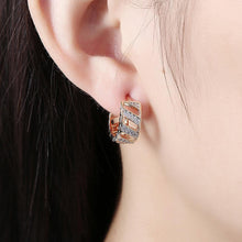 Load image into Gallery viewer, Fashion Elegant Plated Rose Gold Geometric Openwork Cubic Zircon Earrings - Glamorousky