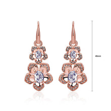 Load image into Gallery viewer, Fashion Elegant Plated Rose Gold Cubic Zirconia Earrings - Glamorousky