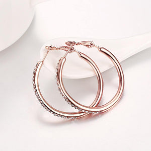 Fashion Simple Plated Rose Gold Geometric Round Cubic Zircon Earrings - Glamorousky