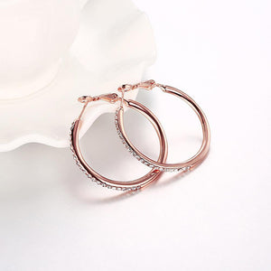 Fashion Simple Plated Rose Gold Geometric Round Cubic Zircon Earrings - Glamorousky