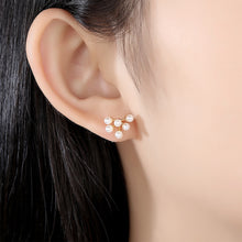 Load image into Gallery viewer, 925 Sterling Silver Plated Gold Fashion Elegant Floral Fashion Pearl Stud Earrings