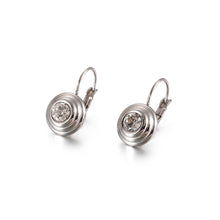 Load image into Gallery viewer, Simple and Fashion Geometric Round White Cubic Zirconia 316L Stainless Steel Earrings