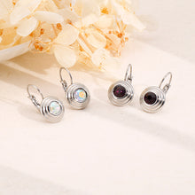 Load image into Gallery viewer, Simple and Fashion Geometric Round White Cubic Zirconia 316L Stainless Steel Earrings