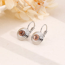 Load image into Gallery viewer, Simple and Fashion Geometric Round Champagne Color Cubic Zirconia 316L Stainless Steel Earrings