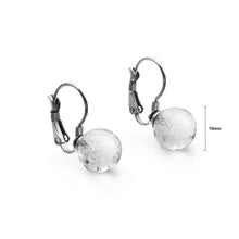 Load image into Gallery viewer, Fashion Simple Geometric Round White Cubic Zirconia 316L Stainless Steel Earrings
