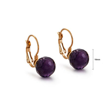 Load image into Gallery viewer, Fashion Simple Plated Gold Geometric Round Purple Cubic Zirconia 316L Stainless Steel Earrings