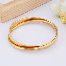 Load image into Gallery viewer, Fashion Simple Plated Gold Geometric Double Round 316L Stainless Steel Bangle