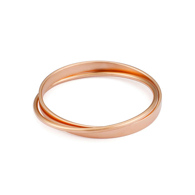 Fashion Simple Plated Rose Gold Geometric Double Round 316L Stainless Steel Bangle