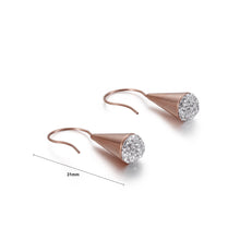 Load image into Gallery viewer, Fashion Personality Plated Rose Gold Microphone 8mm Cubic Zirconia 316L Stainless Steel Earrings