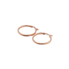 Load image into Gallery viewer, Simple and Fashion Plated Rose Gold 30mm Geometric Circle 316L Stainless Steel Earrings