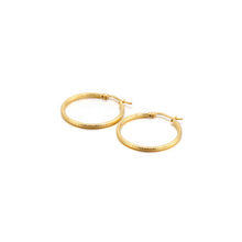 Load image into Gallery viewer, Simple Personality Plated Gold 30mm Geometric Circle 316L Stainless Steel Earrings
