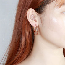 Load image into Gallery viewer, Simple Personality Plated Rose Gold Geometric Circle Tassel 316L Stainless Steel Earrings