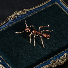Load image into Gallery viewer, Simple and Cute Plated Gold Enamel Brown Ant Brooch