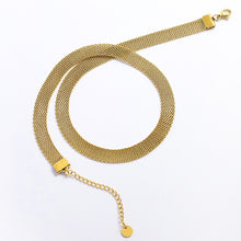 Load image into Gallery viewer, Fashion Simple Plated Gold 316L Stainless Steel Mesh Strap Geometric Necklace