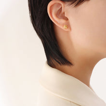 Load image into Gallery viewer, Fashion Simple Plated Gold 316L Stainless Steel Rose Stud Earrings