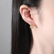 Load image into Gallery viewer, Fashion Simple Plated Gold Geometric Round Earrings with Cubic Zirconia