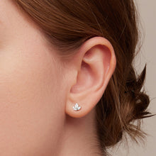 Load image into Gallery viewer, 925 Sterling Silver Simple Fashion Leaf Stud Earrings with Cubic Zirconia